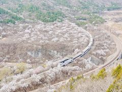 -居庸关长城