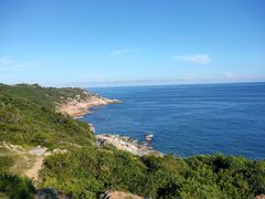 -广东惠东海龟国家级自然保护区