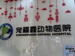 -宠福鑫动物医院(望京分院)