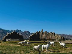 -敕勒川草原文化旅游区