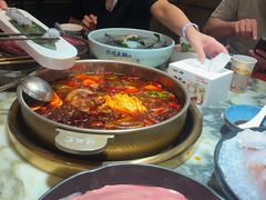 -矮板凳老火锅(宽窄巷子店)