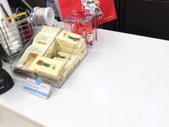 -蒲公英(五里店)