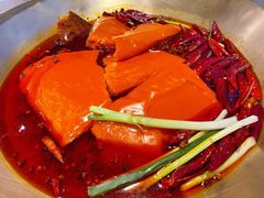 -王婆乔鲜鱼自助火锅(蜀汉路店)