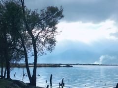 -洱海月湿地公园