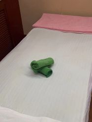 -再清椿美容