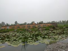 -泗洪洪泽湖湿地景区