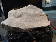 -烟台自然博物馆