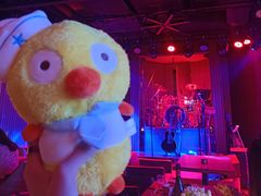 -阿卡贝拉音乐汇(印象城店)