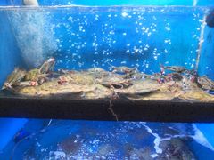 -鲜味食族水产·海鲜餐厅