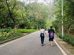 -火炉山森林公园