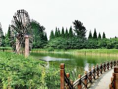 -泗洪洪泽湖湿地景区