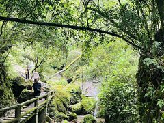 -青城山