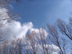 -沈阳鸟岛