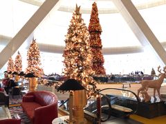 -迪拜帆船酒店海底餐厅