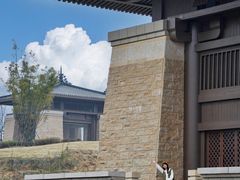 -黄龙溪古镇