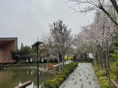 -田园东方蜜桃村的田野营地