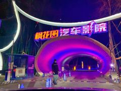-枫花园汽车电影院(朝阳公园店)