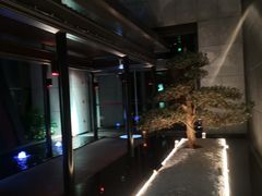 -CASA Grande酒漾·西餐及酒吧(长沙君悦酒店)