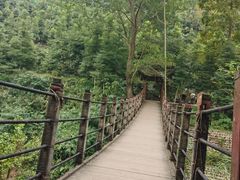 -凤栖山