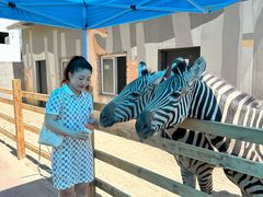 -水上乐园·欢乐世界