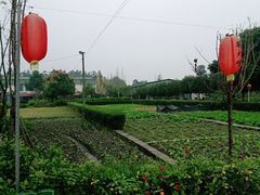 -洪湖家庭农场·团建·露营·会议