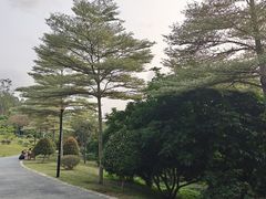 -东莞植物园