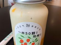 -36抹茶·千层与鲜果茶(欢乐海岸店)