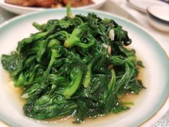 -松沪名灶·豆浆鱼头·新上海菜(飞航吾悦广场店)