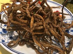 椒盐鳗鱼苗-莲花公园煎蟹(总店)