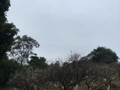 -玉树公园