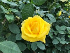 -人民公园(罗湖区)