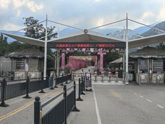 -北京凤凰岭