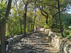 -阳台山自然风景区
