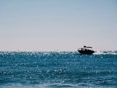 -日照海滨国家森林公园
