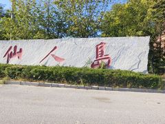 -仙人岛