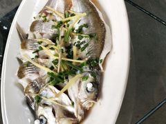 -听风阁农家私房菜茶楼(龙坞店)