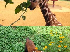 -杭州野生动物世界