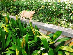 -吴淞炮台湾湿地森林公园烧烤区