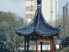 -和平公园