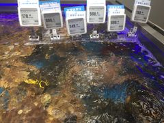 -盒马鲜生(大成店)