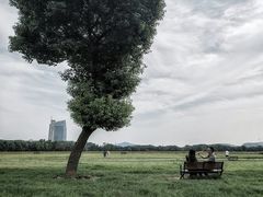 -山明水秀大饭店