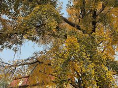 -Rabbit Cafe私房西餐甜点咖啡(栖霞路店)