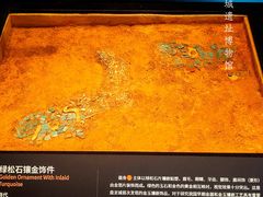 -盘龙城国家考古遗址公园