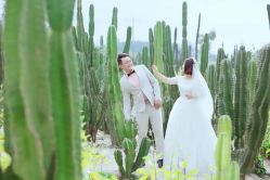 -绿皮火车照相馆 婚纱照旅拍(厦门店)