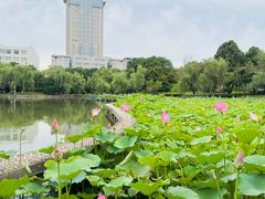 -南京航空航天大学(将军路校区)