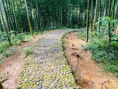 -山沟沟景区