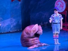 -大连圣亚海洋世界