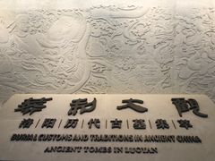 -洛阳古墓博物馆