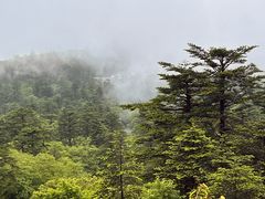 -峨眉山风景名胜区