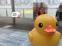 -海港城